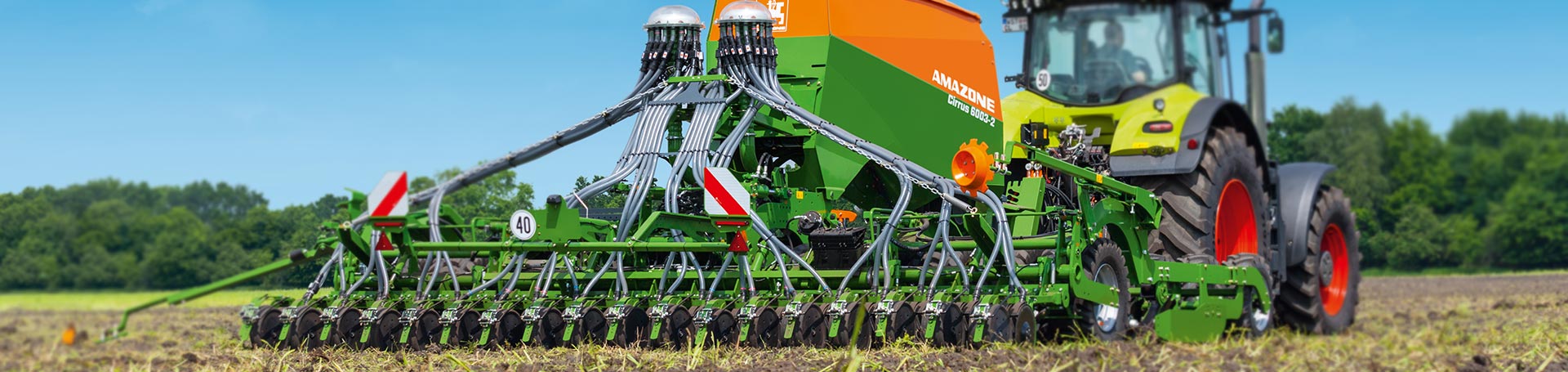 Amazone